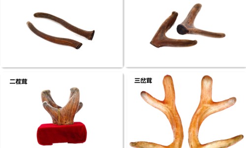 飞鹿股份官网-飞鹿 分体 说明书下载专区_飞鹿股份官网专区_飞鹿 分体 说明书网