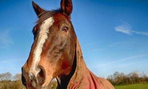 飞鹿da800-飞鹿 分体 说明书下载专区_飞鹿股份官网专区_飞鹿 分体 说明书网